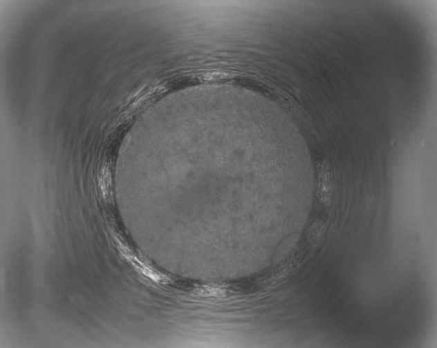 X0000086260523200703291436