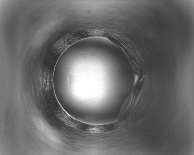 X0000086260525200703291436