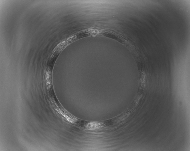 X0000086260526200703291436