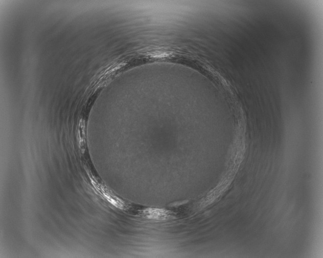 X0000086260528200703291436