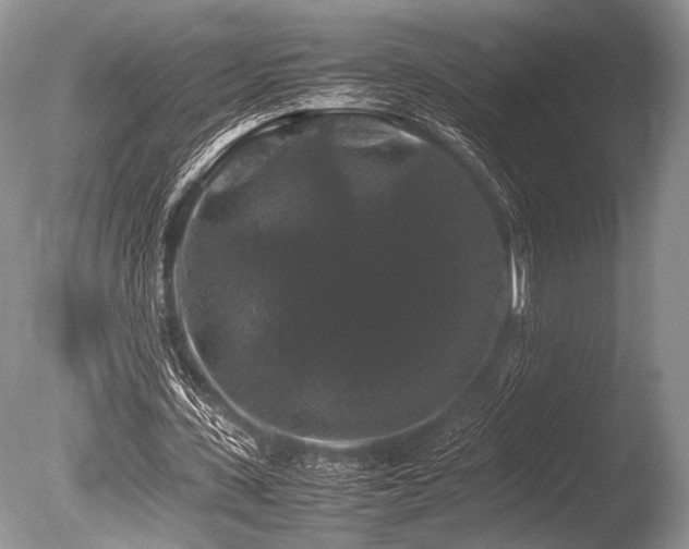X0000086260531200703291436