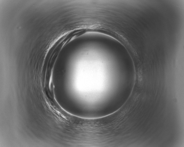 X0000086260532200703291436