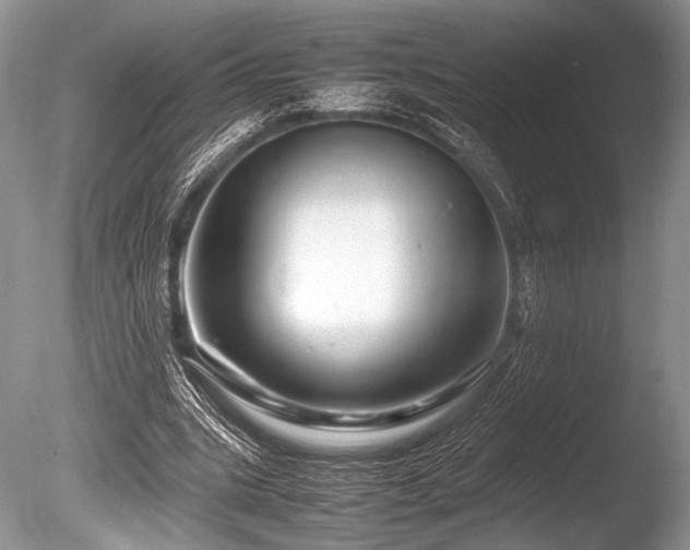 X0000086260535200703291436