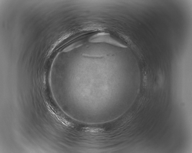 X0000086260539200703291436