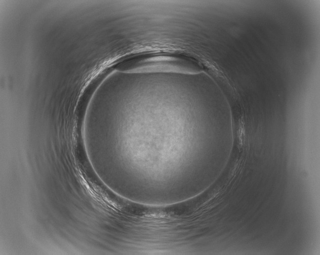 X0000086260540200703291436