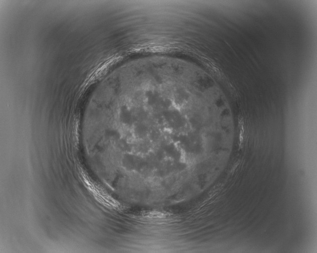 X0000086260542200703291436