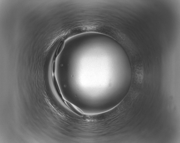 X0000086260543200703291436