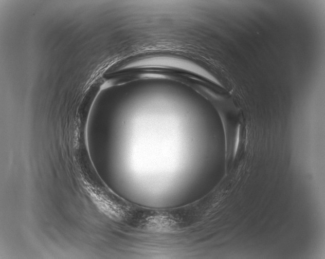 X0000086260544200703291436