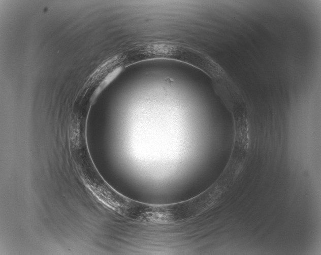 X0000086260552200703291436