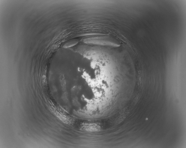 X0000086260553200703291436