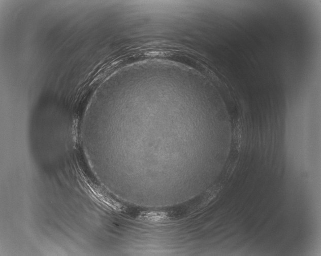 X0000086260554200703291436