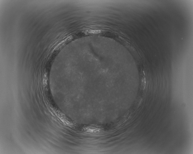 X0000086260555200703291436