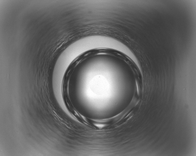 X0000086260556200703291436