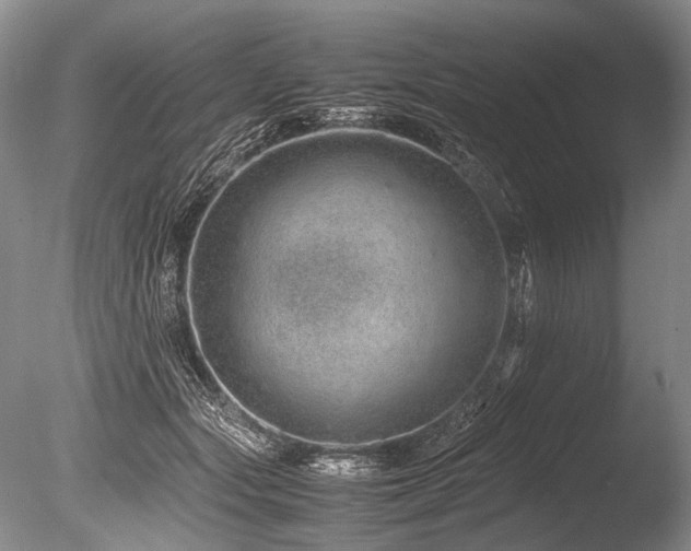 X0000086260557200703291436