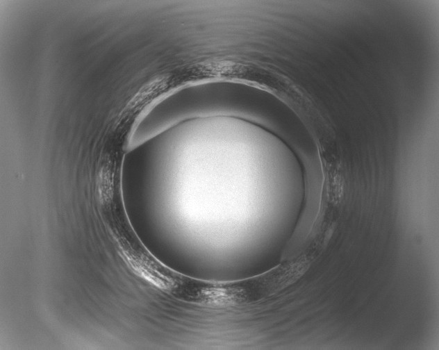 X0000086260558200703291436