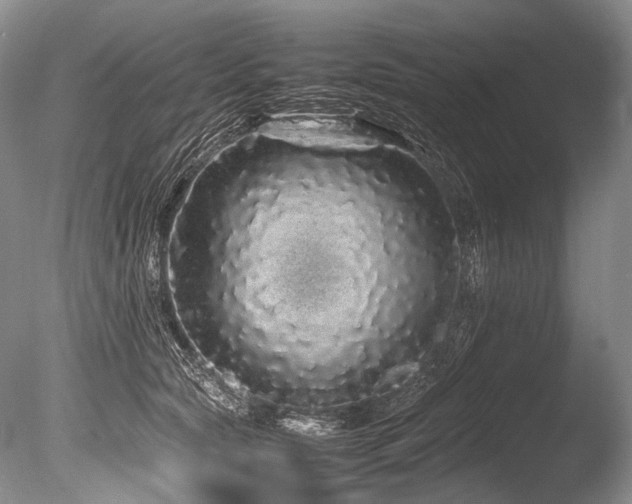 X0000086260561200703291436