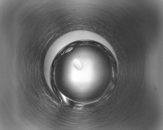 X0000086260564200703291436