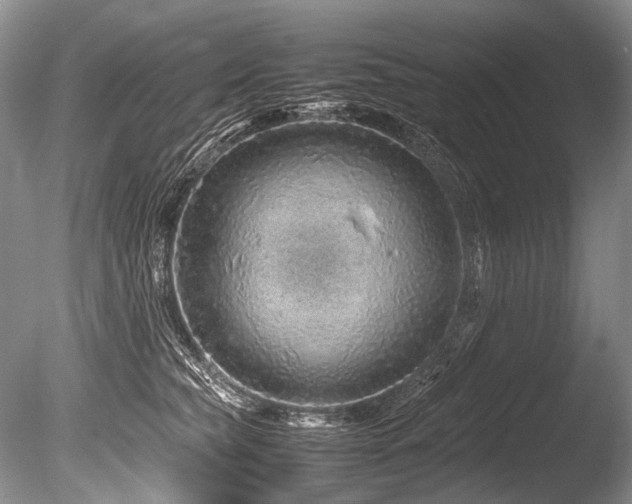 X0000086260565200703291436