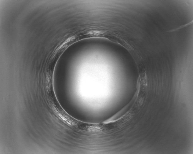 X0000086260572200703291436