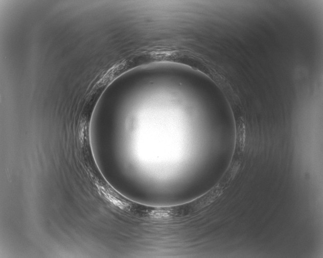 X0000086260574200703291436