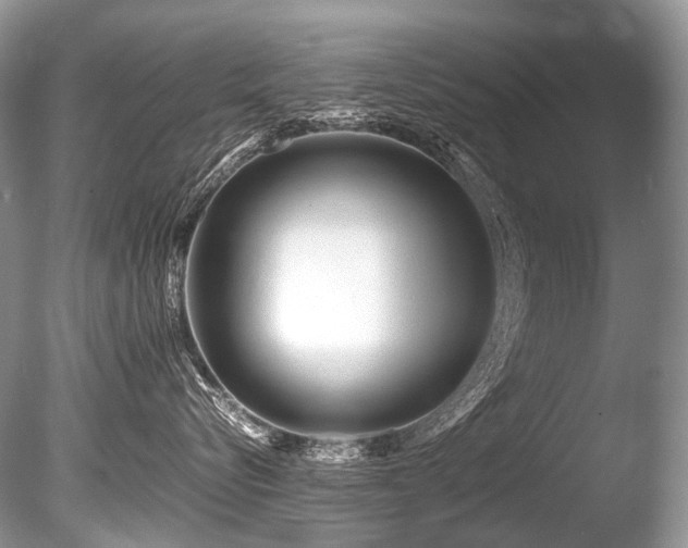 X0000086260576200703291436
