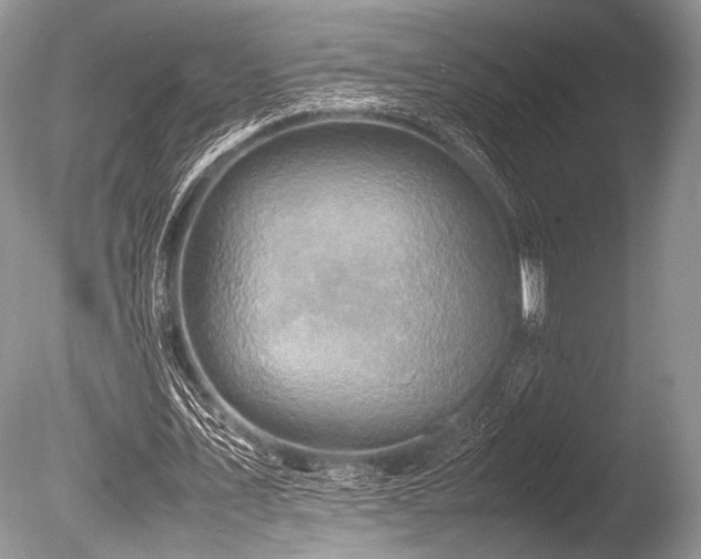 X0000086260579200703291435
