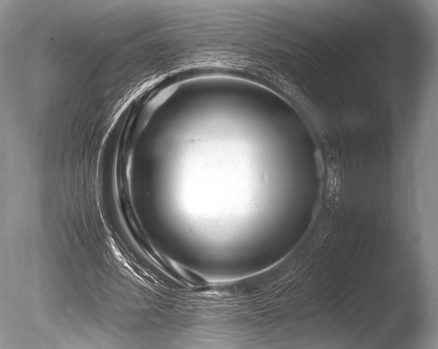 X0000086260580200703291435