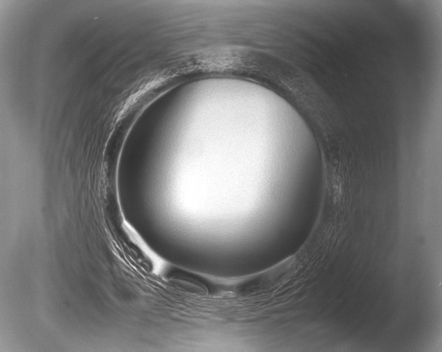 X0000086260583200703291435