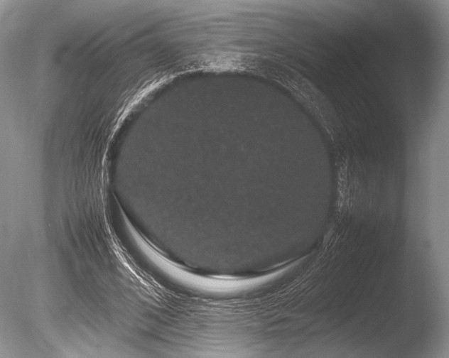 X0000086260584200703291435