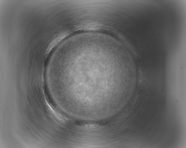 X0000086260586200703291435