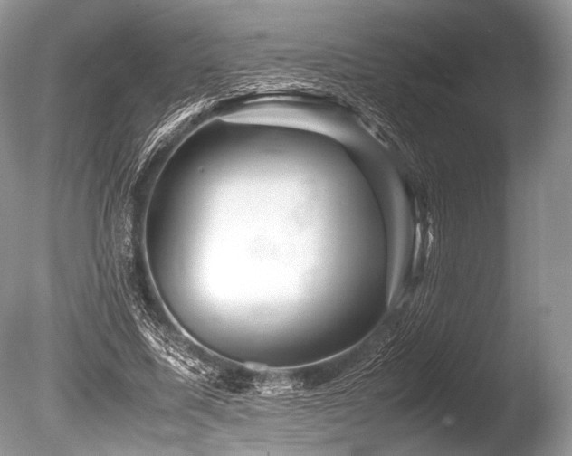 X0000086260587200703291435