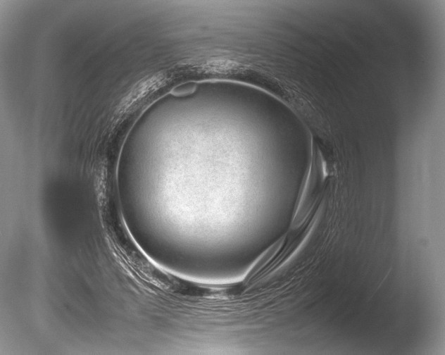 X0000086260591200703291435