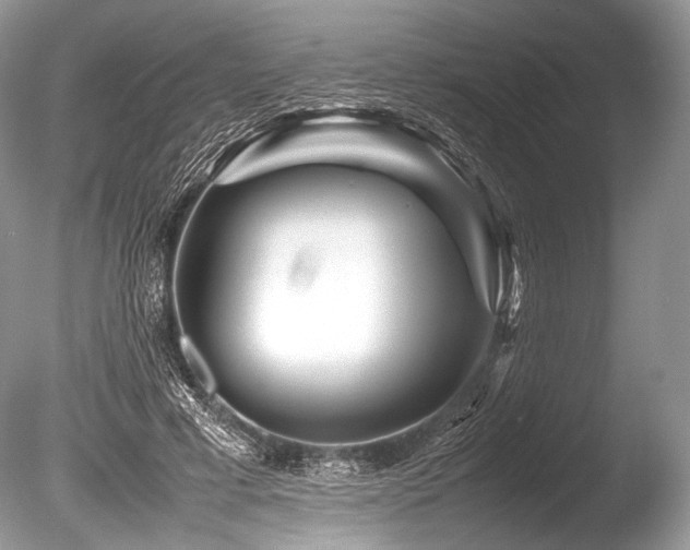 X0000086260593200703291435