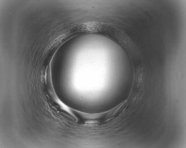 X0000086260595200703291435