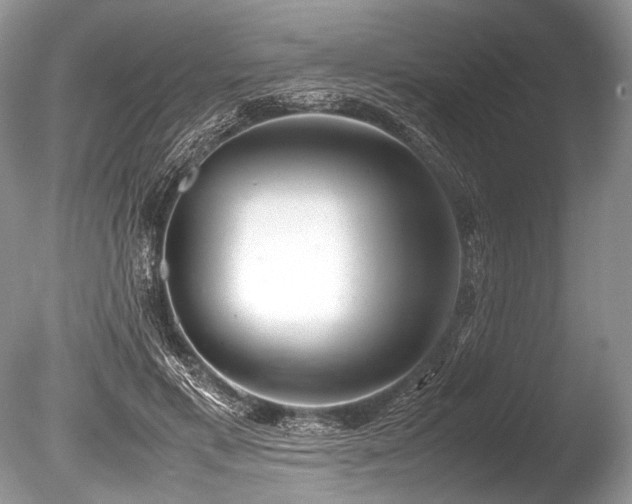 X0000086260597200703291435