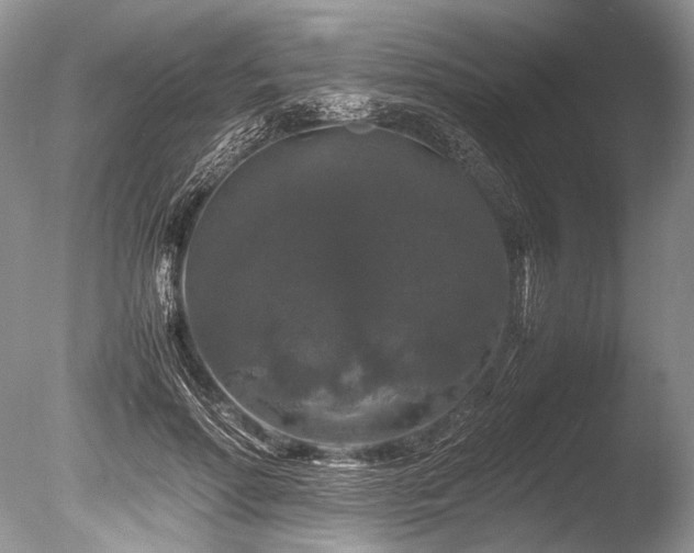 X0000086260598200703291435