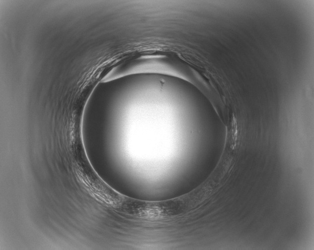 X0000086260600200703291435