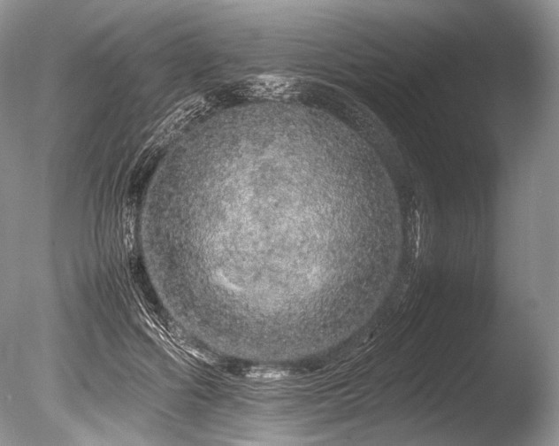 X0000086260602200703291435