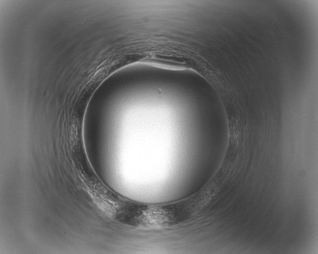 X0000086260603200703291435