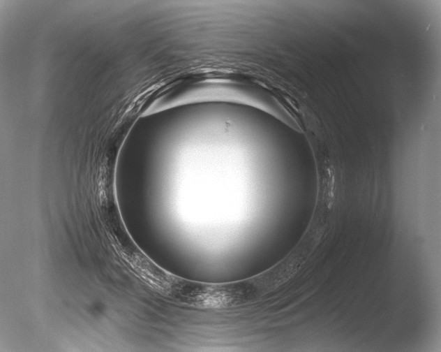 X0000086260604200703291435