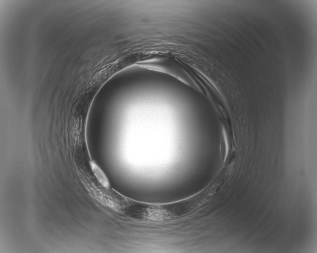 X0000086260605200703291435