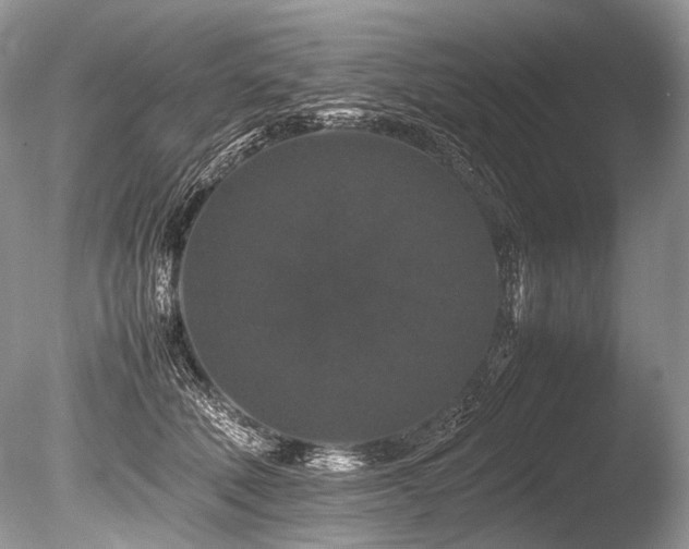 X0000086260610200703291435