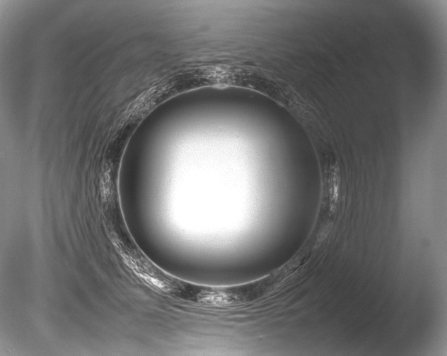 X0000086260611200703291435