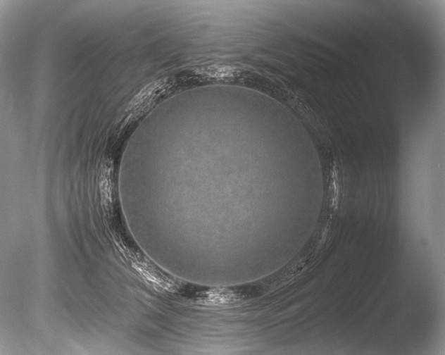 X0000086260612200703291435