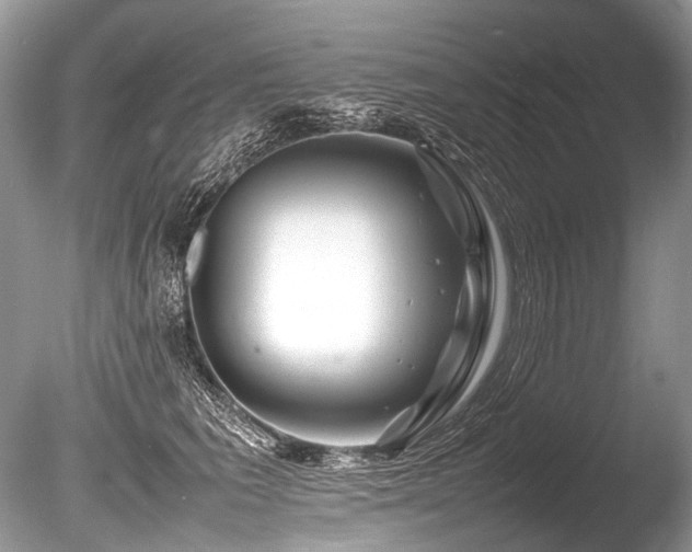 X0000086260613200703291435