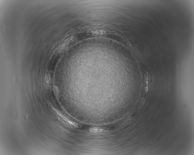X0000086260614200703291435