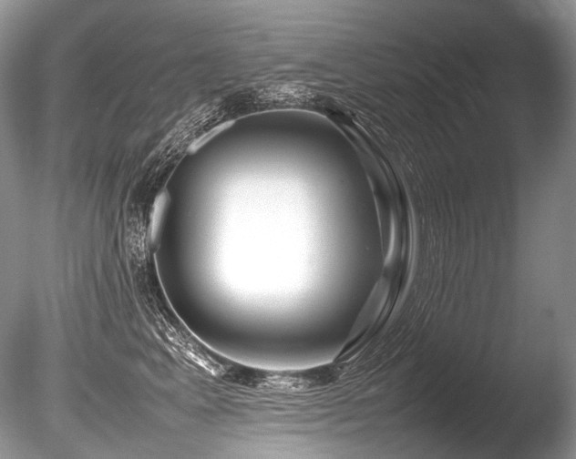 X0000086260617200703291435