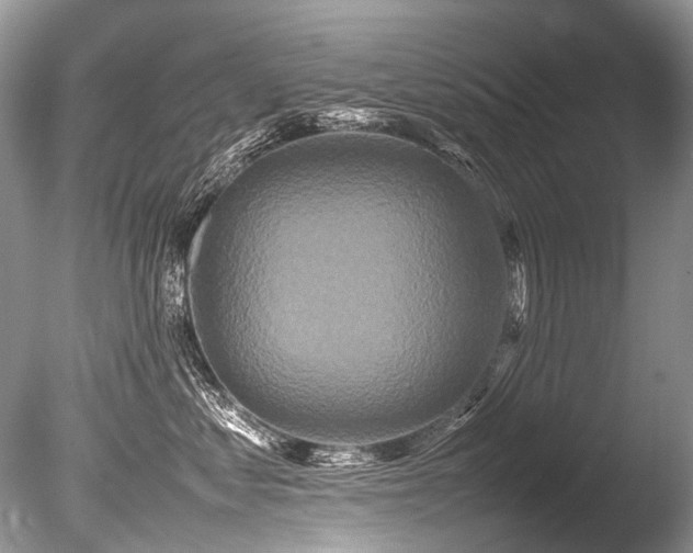 X0000086260621200703291435