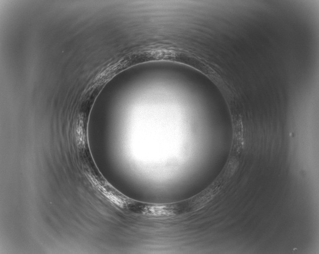 X0000086260622200703291435