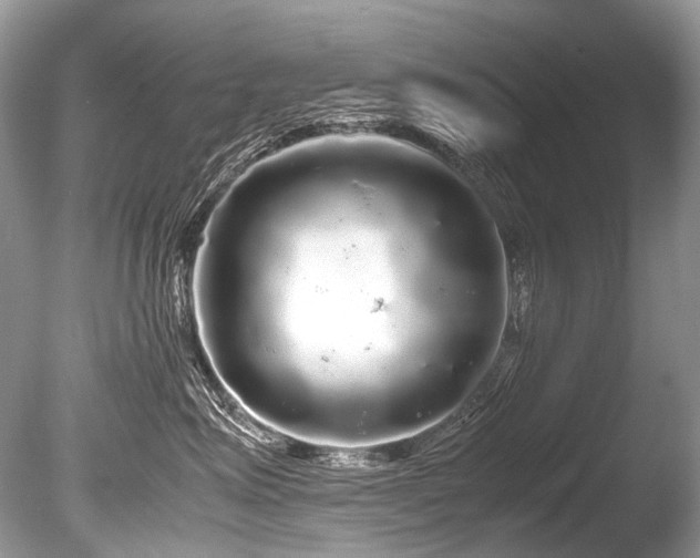 X0000086260623200703291435